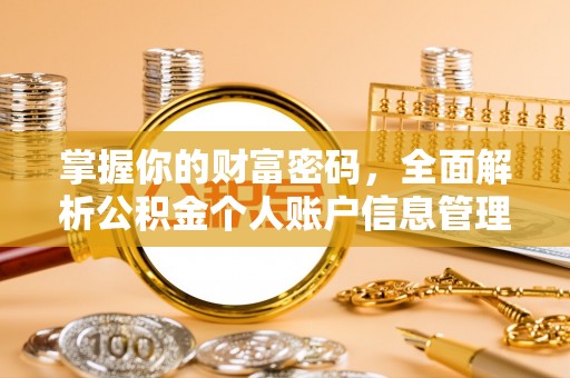 大邑掌握你的财富密码，全面解析公积金个人账户信息管理