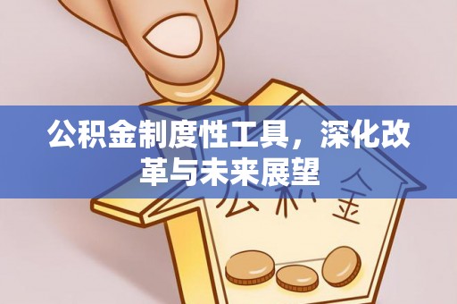 大邑公积金制度性工具，深化改革与未来展望