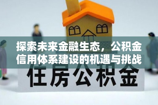 大邑探索未来金融生态，公积金信用体系建设的机遇与挑战