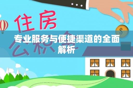 大邑专业服务与便捷渠道的全面解析