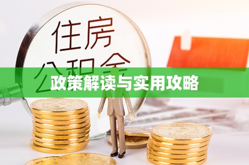 大邑政策解读与实用攻略