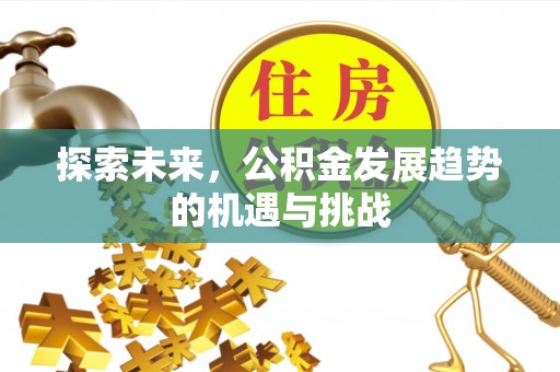 大邑探索未来，公积金发展趋势的机遇与挑战