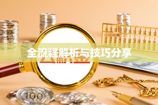 大邑全流程解析与技巧分享
