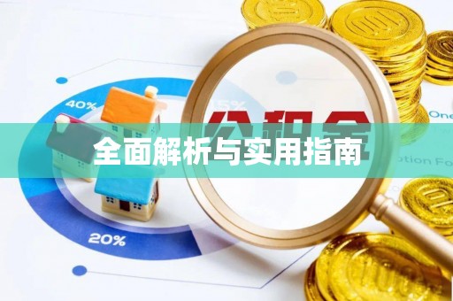大邑全面解析与实用指南
