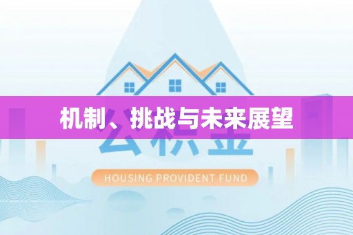 大邑机制、挑战与未来展望